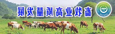 畜牧业高质量发展专栏